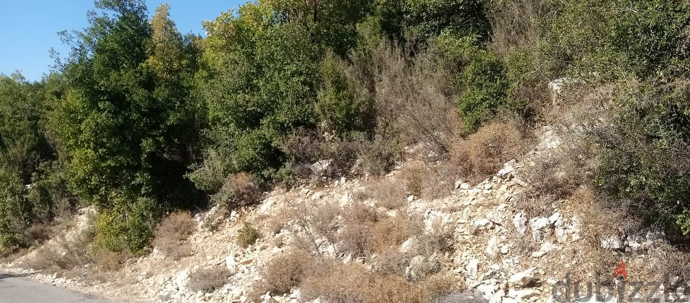 RWB127PK - Land for sale in Mechmech Jbeil 2