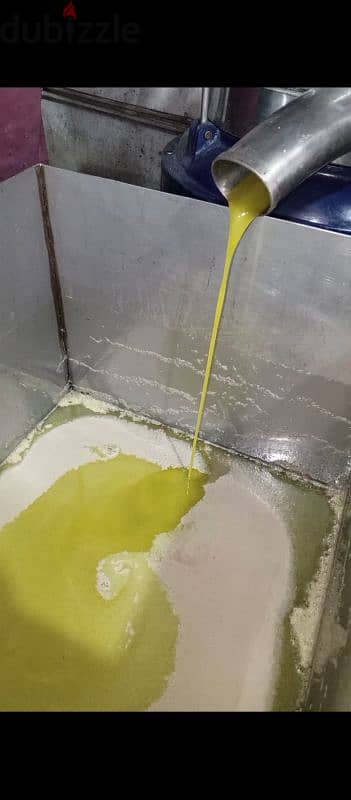 Mtolleh El Chouf-Olive Oil 1