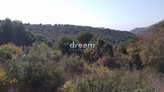 bejjeh land for sale