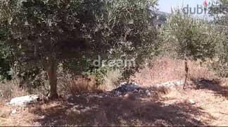 Land For Sale In Mayfouq may0032dpeb 0