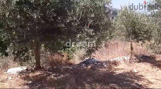 Land For Sale In Mayfouq may0032dpeb