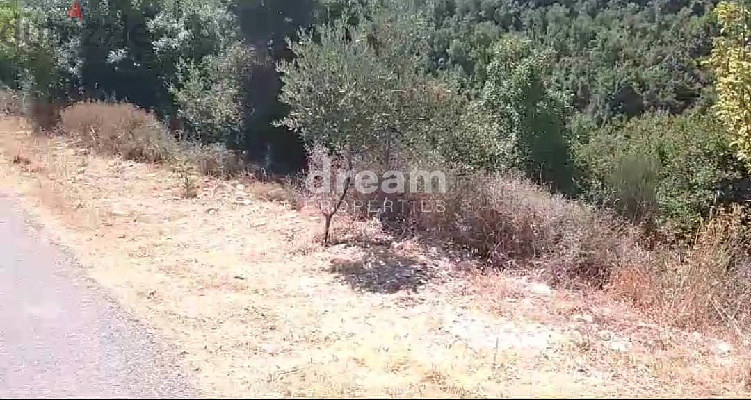 Land For Sale In Mayfouq may0032dpeb 1