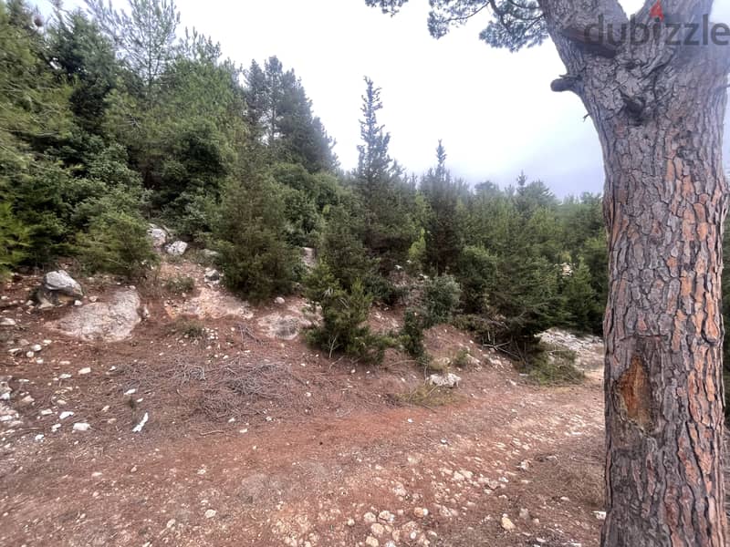 RWK381CA - Land For Sale In Kfour  - أرض للبيع في كفور 3