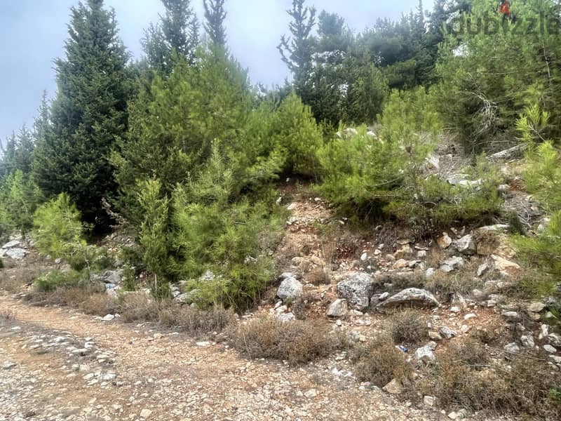 RWK381CA - Land For Sale In Kfour  - أرض للبيع في كفور 6