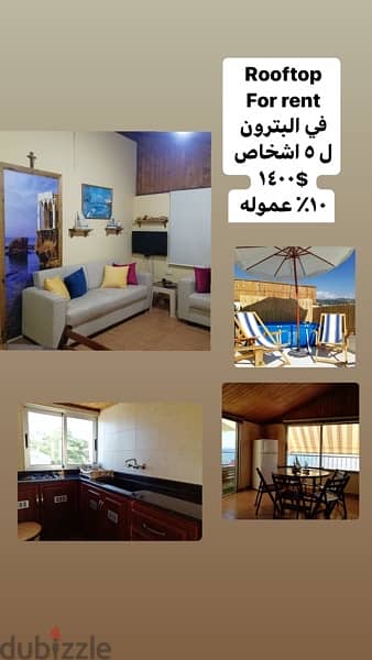 many apartments and villas for rent 3