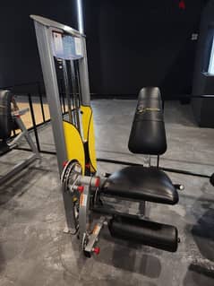 leg extension gym machine 03027072 GEO SPORT معدات نوادي رياضيه 0