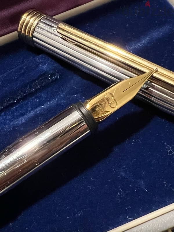 pen christian Dior 5