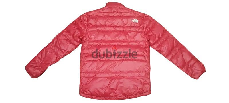 the north face/ jacket 1