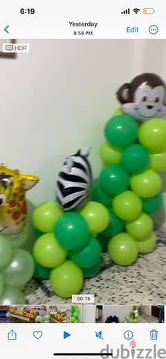 zoo birthday theme ( 1 day offer) 0