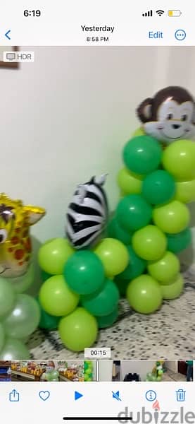 zoo birthday theme ( 1 day offer) 0