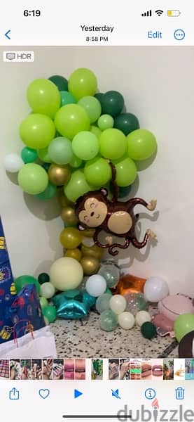 zoo birthday theme ( 1 day offer) 1