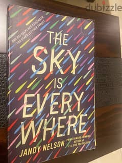 book- the sky is everywhere by Jandy Nelson 0