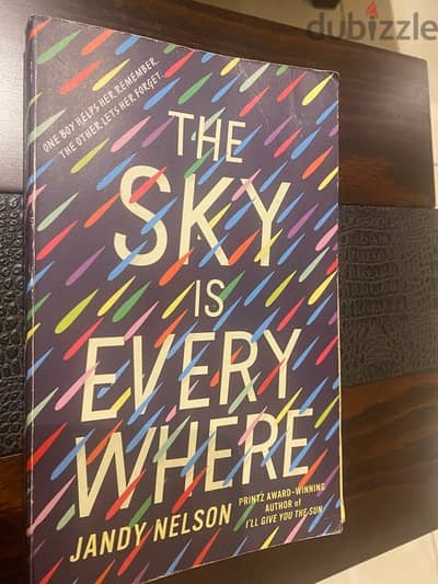 book- the sky is everywhere by Jandy Nelson