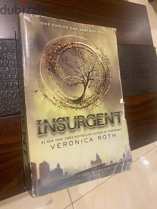 2 books from the Divergent series (Insurgent and Allegiant) 1