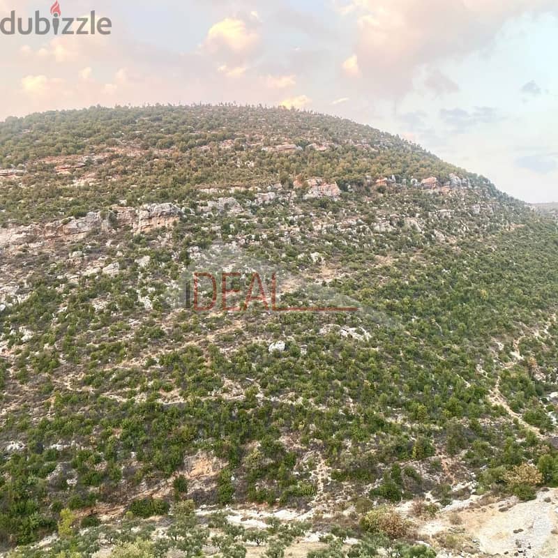 Land for sale in Asia, Batroun عقار للبيع في اسيا بترون 2