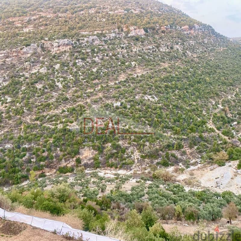 Land for sale in Asia, Batroun عقار للبيع في اسيا بترون 4