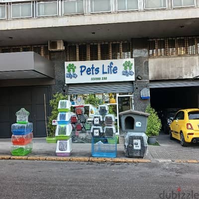 pet shop for sale