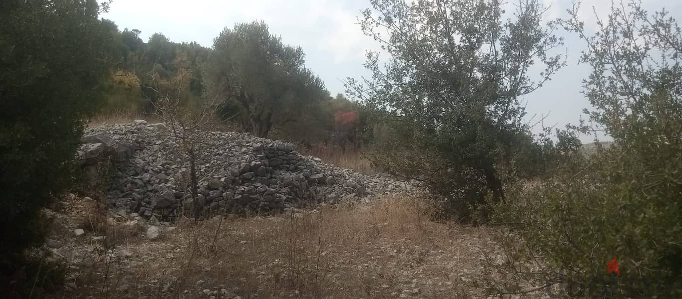 RWB131PK - Land for sale in Mechmech Jbeil 6