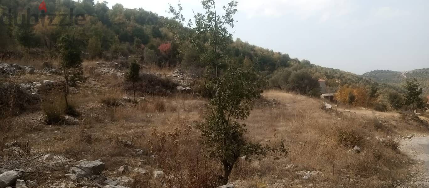 RWB131PK - Land for sale in Mechmech Jbeil 9