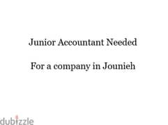 Junior Accountant Needed 0