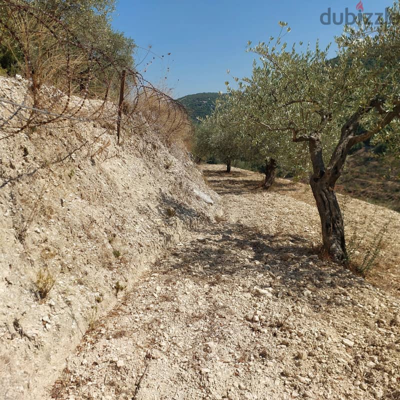 Land for sale in Kfarhay-Batroun ارض للبيع في كفرحي - البترون 0