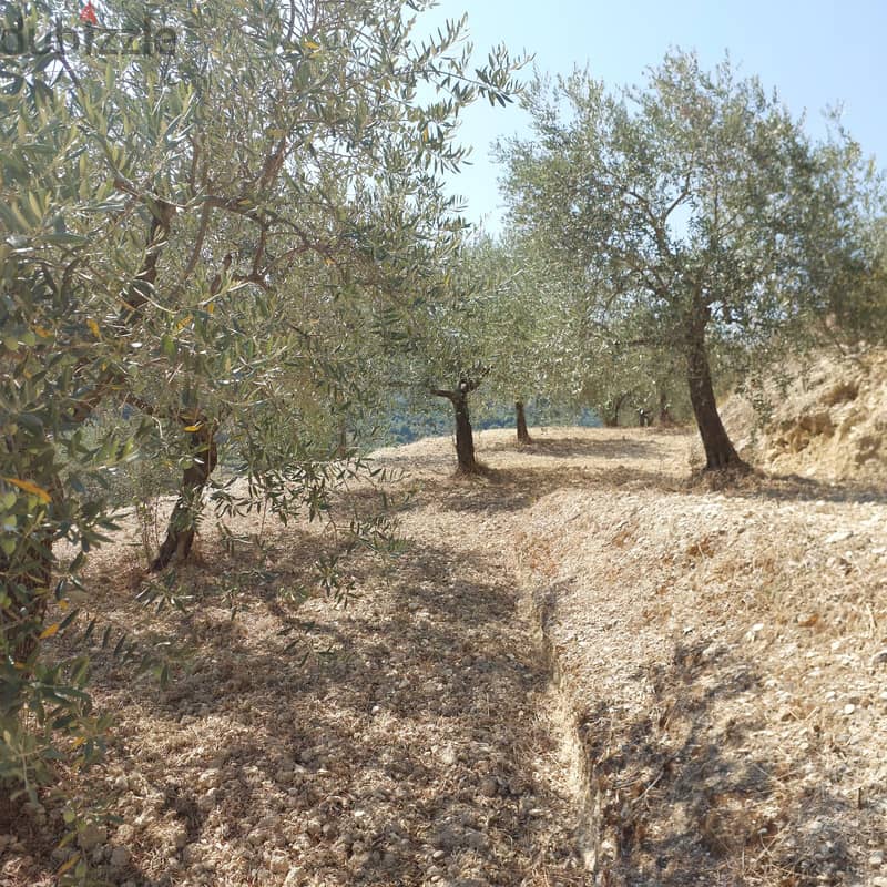 Land for sale in Kfarhay-Batroun ارض للبيع في كفرحي - البترون 1