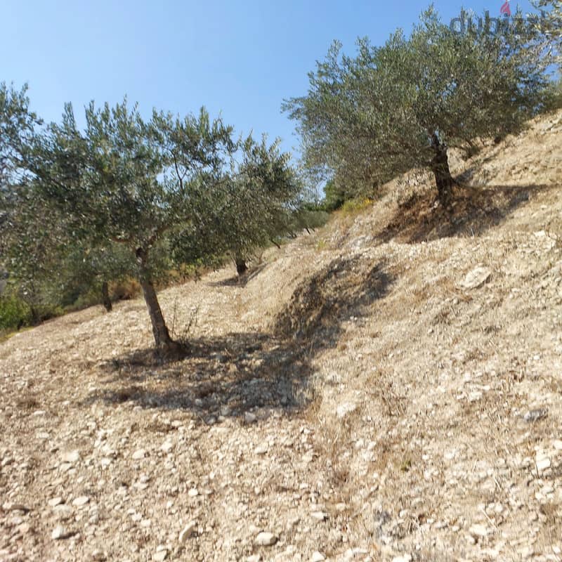 Land for sale in Kfarhay-Batroun ارض للبيع في كفرحي - البترون 2