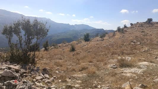 RWB103AK - Land for sale in Qartaba Jbeil