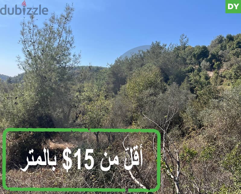 Wide land in Anout / Chouf  عانوت / الشوف. REF#DY114224 0