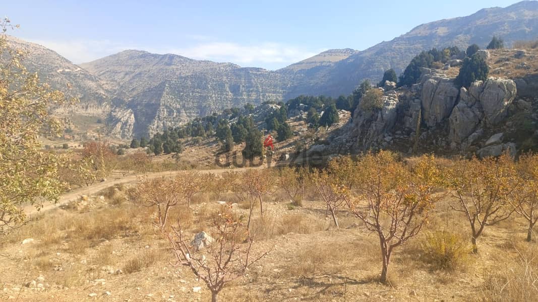 RWB102AK - Land for sale in Ghabat Jbeil 4