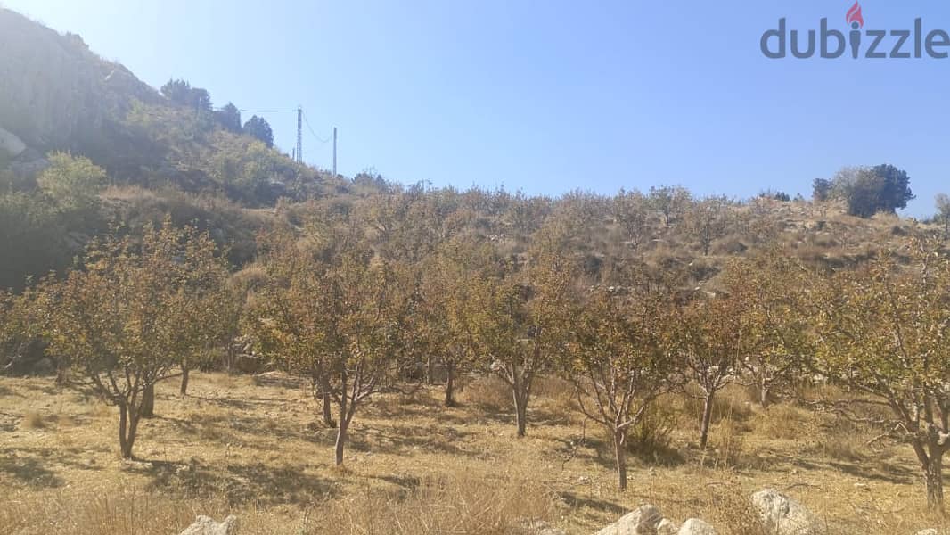 RWB102AK - Land for sale in Ghabat Jbeil 5