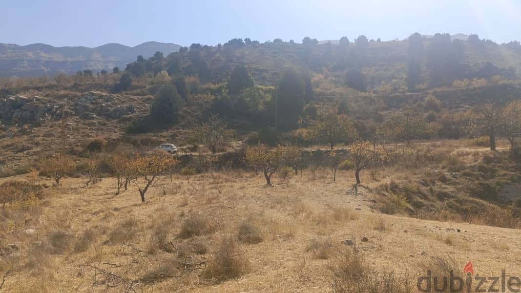 RWB102AK - Land for sale in Ghabat Jbeil 7