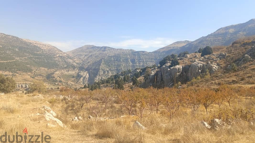 RWB102AK - Land for sale in Ghabat Jbeil 10