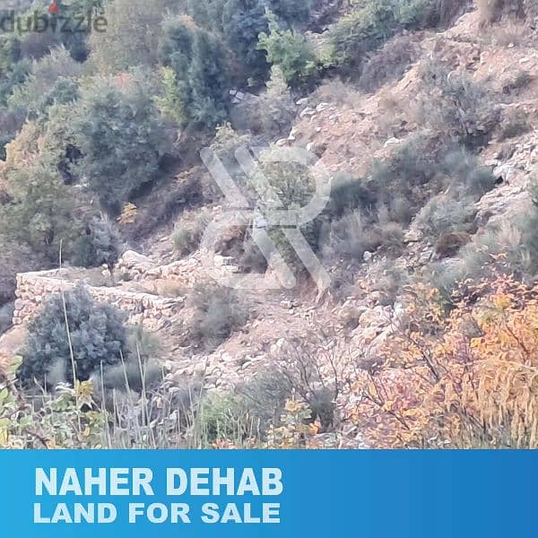 Land for sale in nahr el dehab - أرض للبيع في نهر الذهب 1