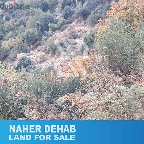 Land for sale in nahr el dehab - أرض للبيع في نهر الذهب 2