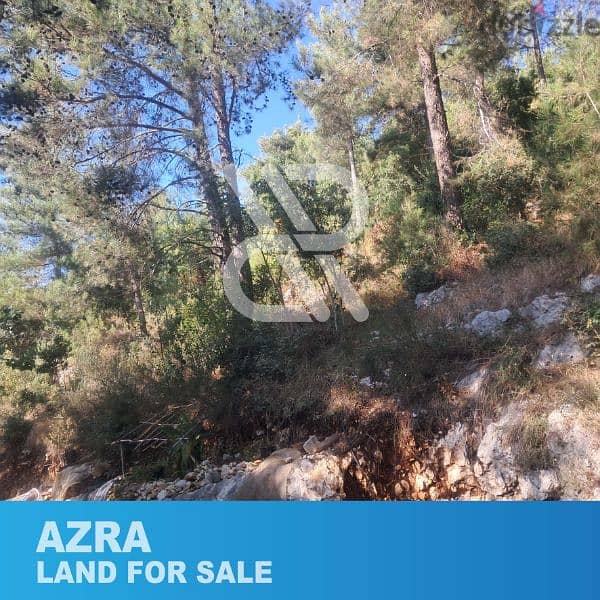 Land for sale in Azra - أرض للبيع في العذرا 1