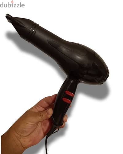 Hair dryer