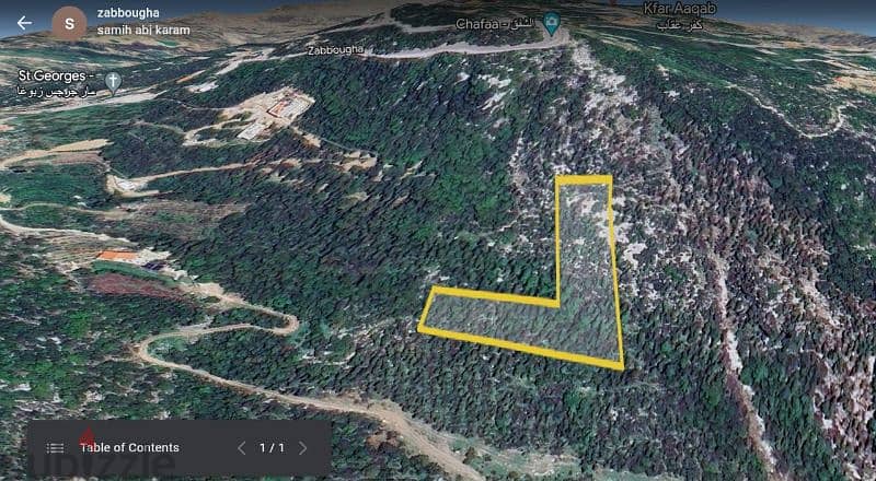 Land for Sale in Zabbougha, Maten area 2