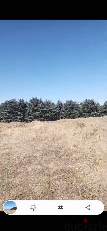 land for sale in bcharre. ارض للبيع في بشري ٣٠$/م 1