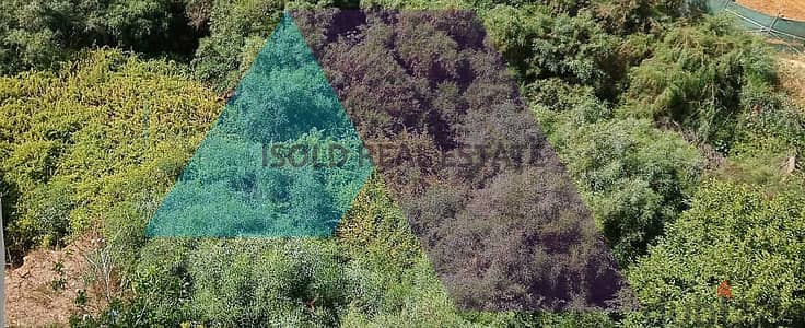 3945 m2 Land for sale in Aoukar,Prime Location - عوكر موقع مميز