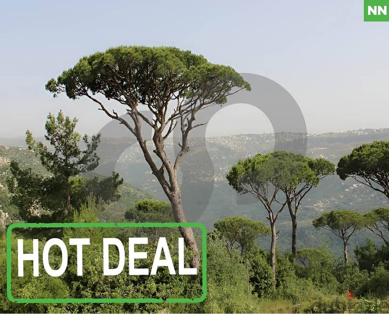 Hot deal, mountain views, baabda, helaliyeh/الهلالية  REF#NN114270 0