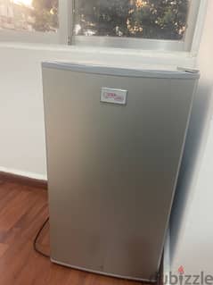 Mini Fridge with Freezer 0