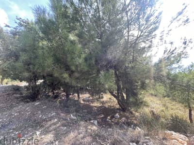 RWK285CA - Land For Sale In Ghineh - أرض للبيع في الغينة