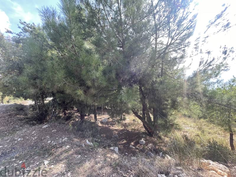 RWK285CA - Land For Sale In Ghineh - أرض للبيع في الغينة 0