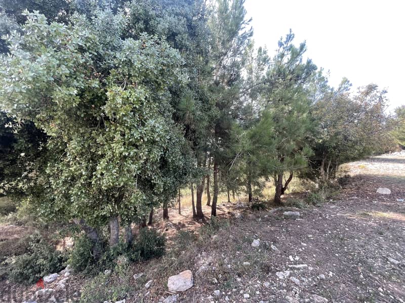 RWK286CA - Land For Sale In Ghineh  - أرض للبيع في الغينة 0