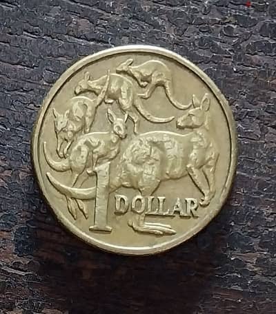 1 dollar