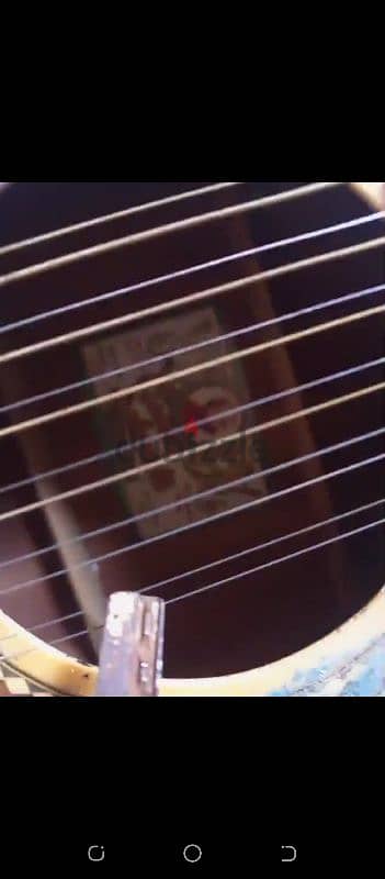 12 string acoustic guitar 3