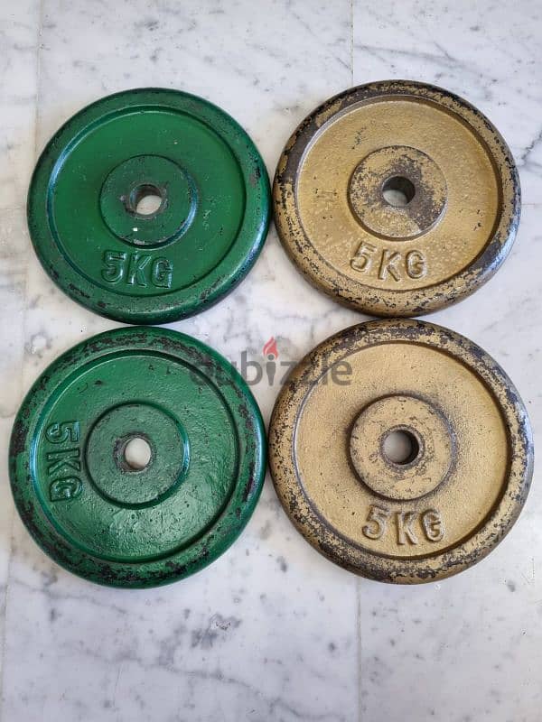 bench axe weights 10