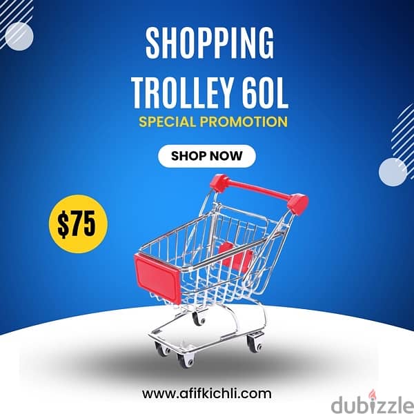 Baskets & Trolleys for Supermarket ,Stores, Pharmacy etc… 2