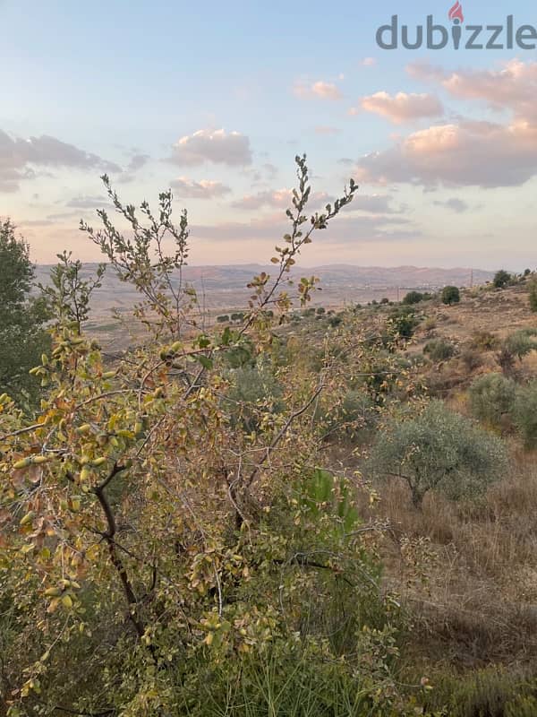 ارض للبيع في راشيا الوادي land for sale in rashaya 4